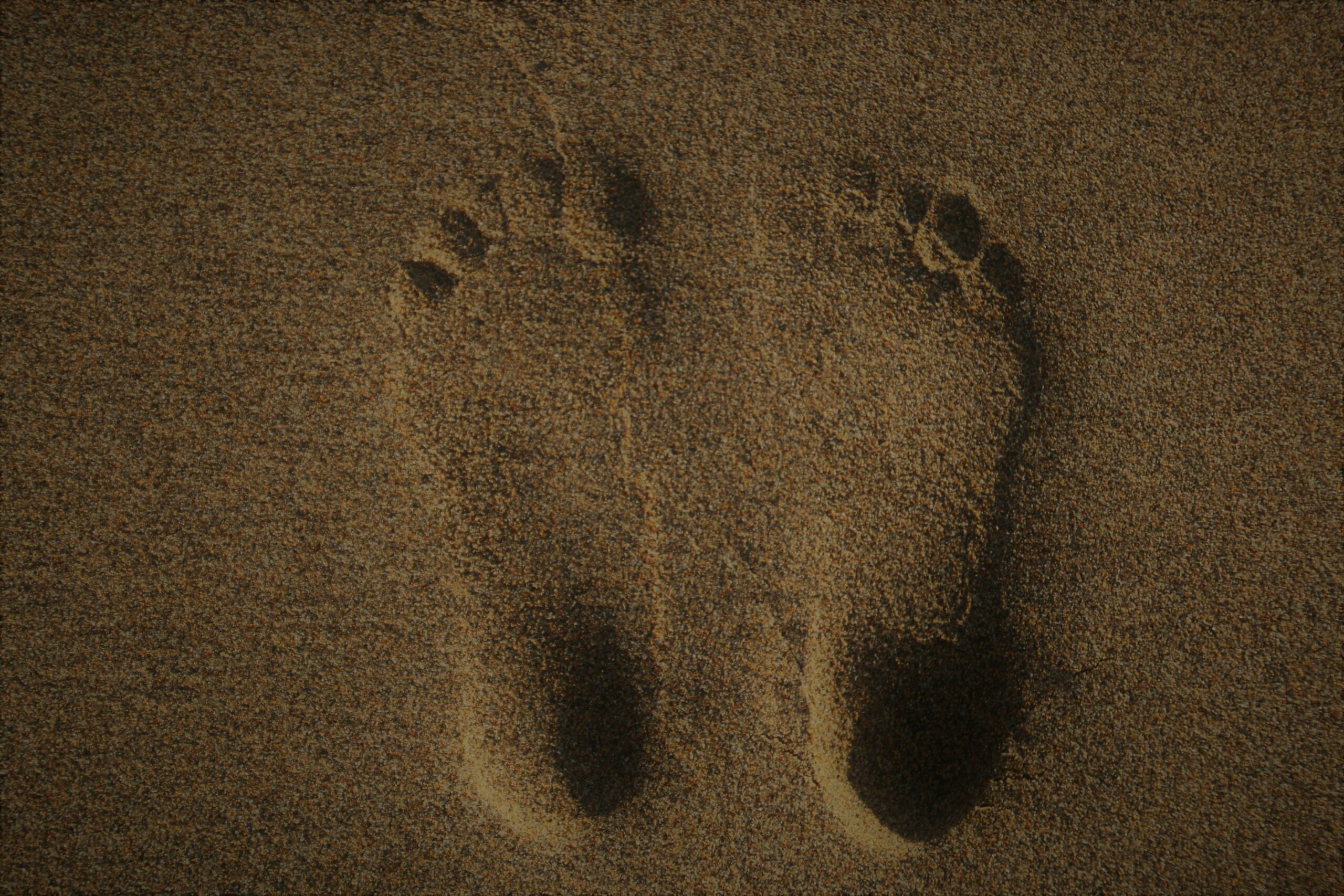 a pair of footprints in the sand of a beach